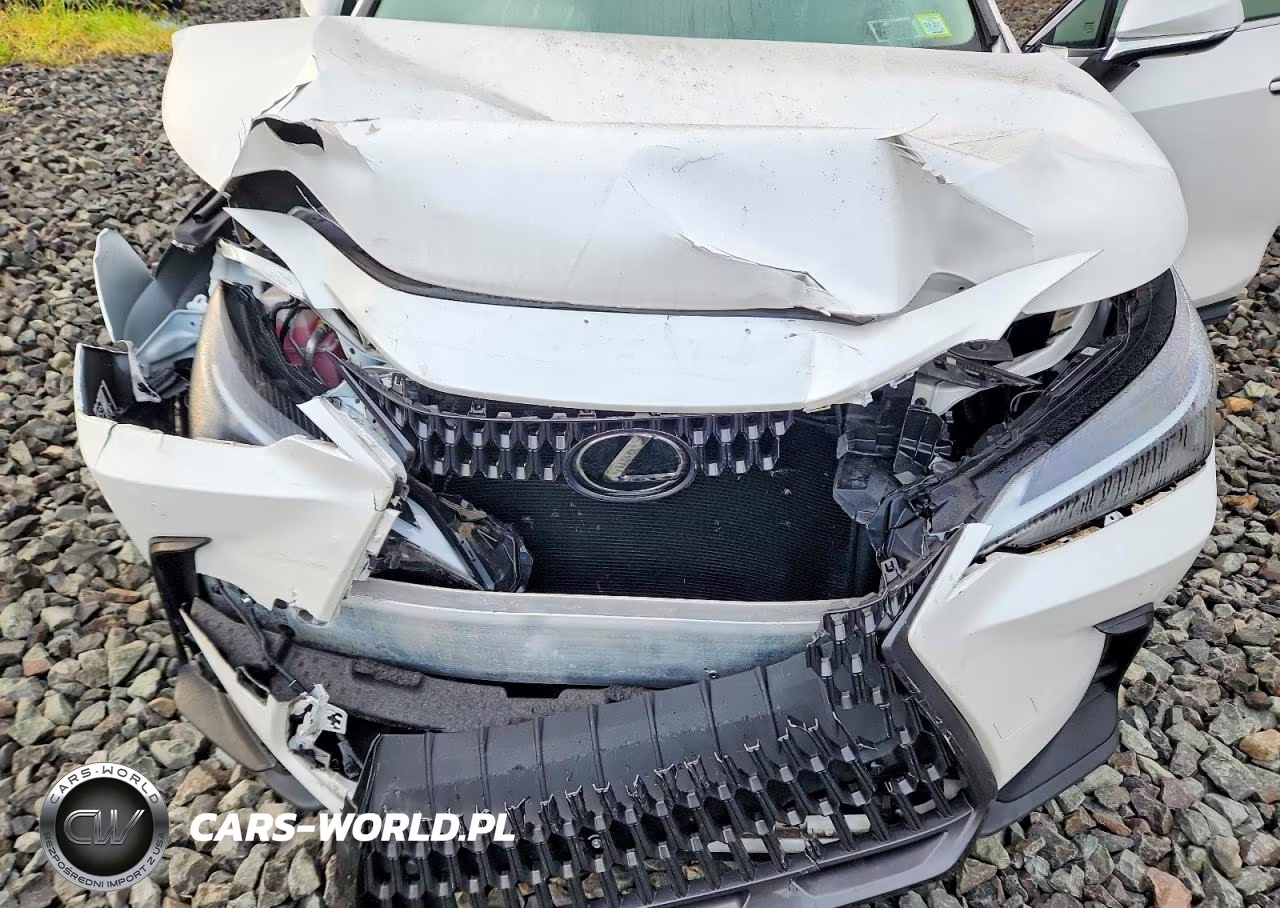 2025 Lexus Nx 250 Base VIN:2T2ADCEZ9SC005509 - 12