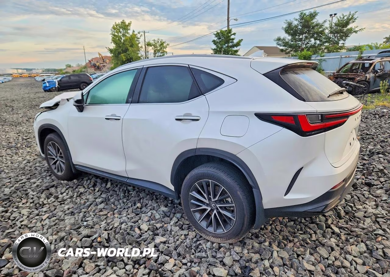 2025 Lexus Nx 250 Base VIN:2T2ADCEZ9SC005509 - 2