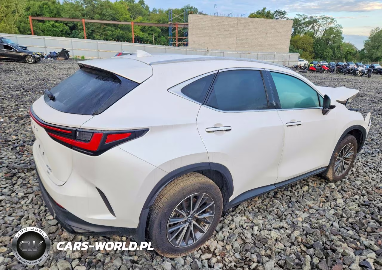 2025 Lexus Nx 250 Base VIN:2T2ADCEZ9SC005509 - 3