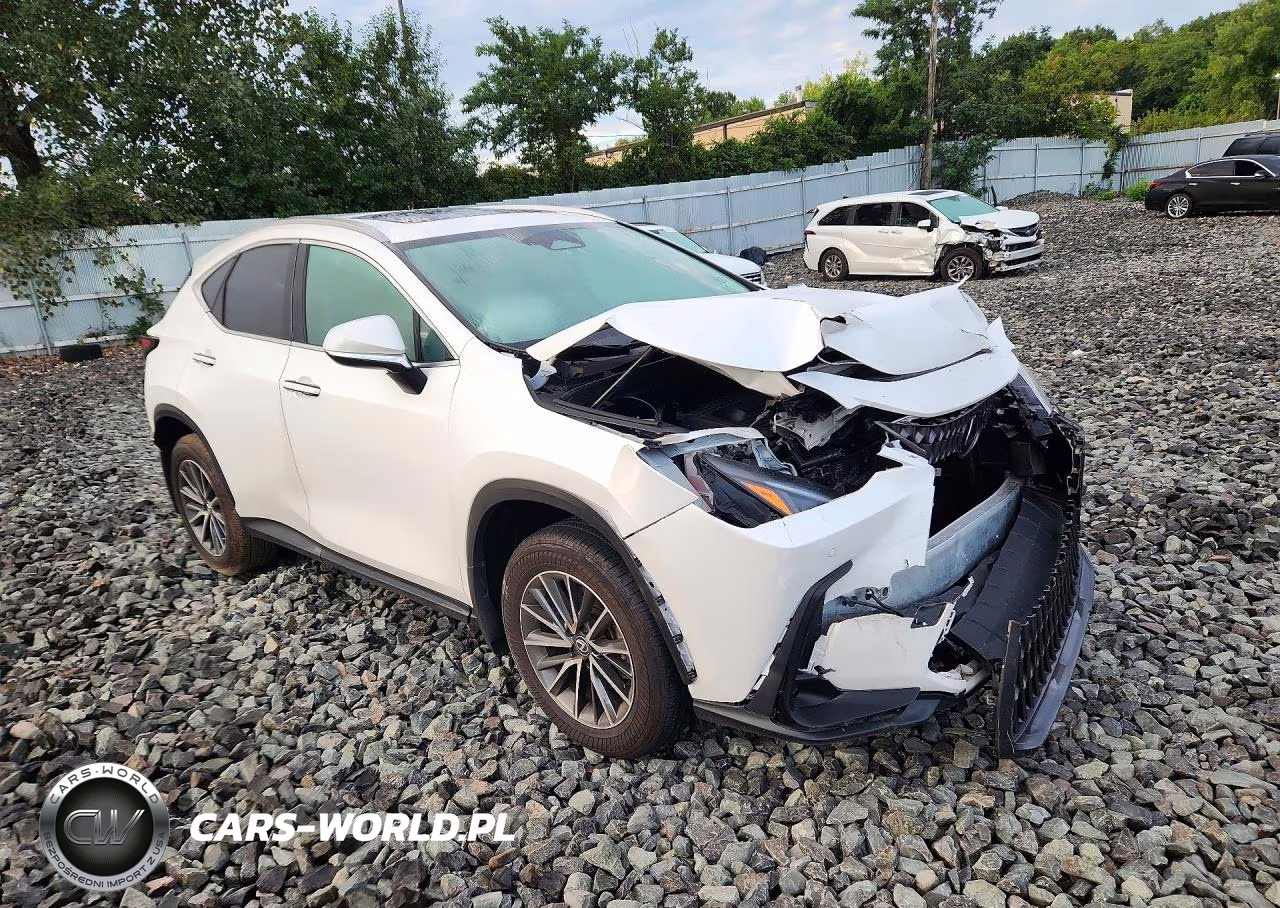 2025 Lexus Nx 250 Base VIN:2T2ADCEZ9SC005509 - 4