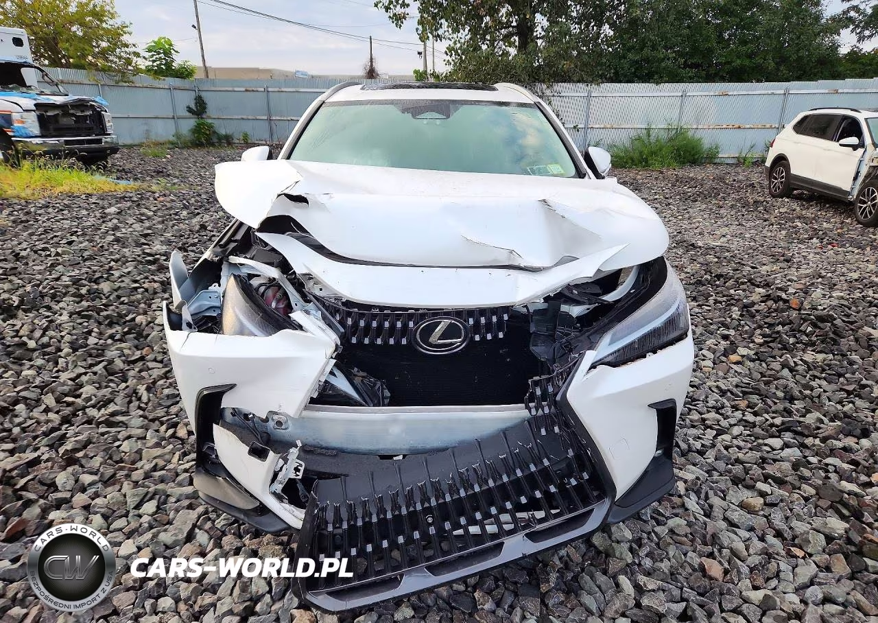 2025 Lexus Nx 250 Base VIN:2T2ADCEZ9SC005509 - 5