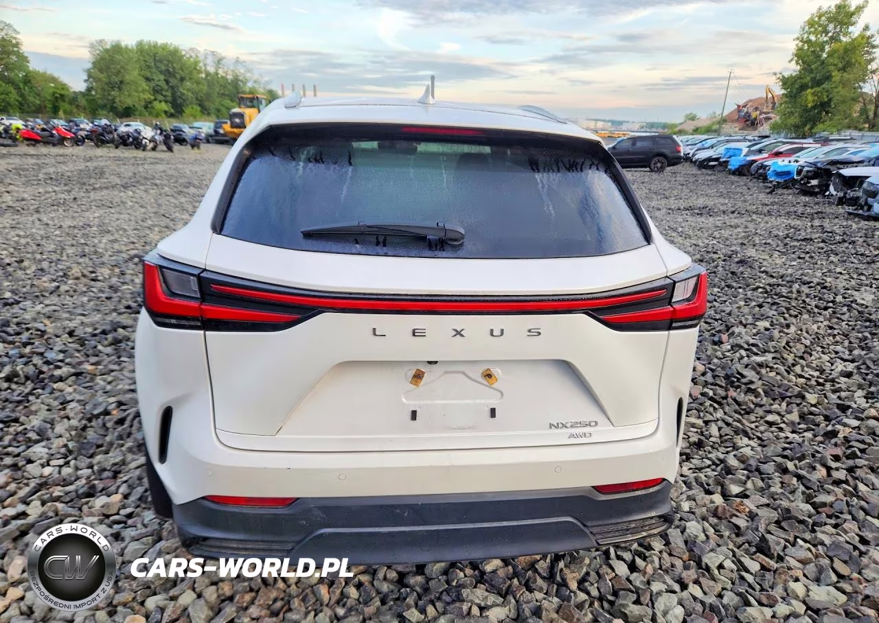 2025 Lexus Nx 250 Base VIN:2T2ADCEZ9SC005509 - 6