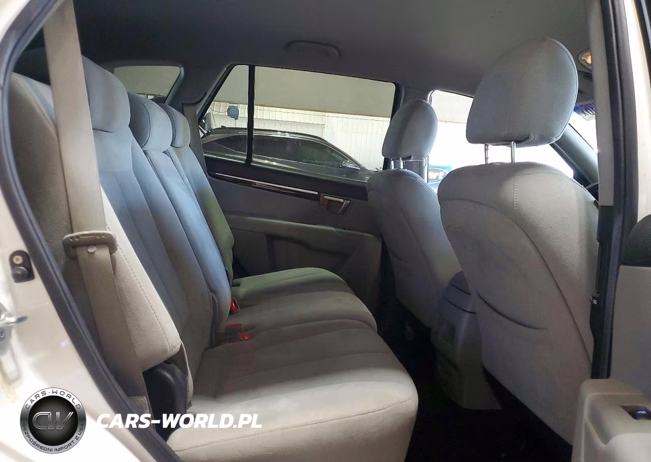 2009 Hyundai Santa Fe Gls VIN:5NMSG13D69H325354 - 10