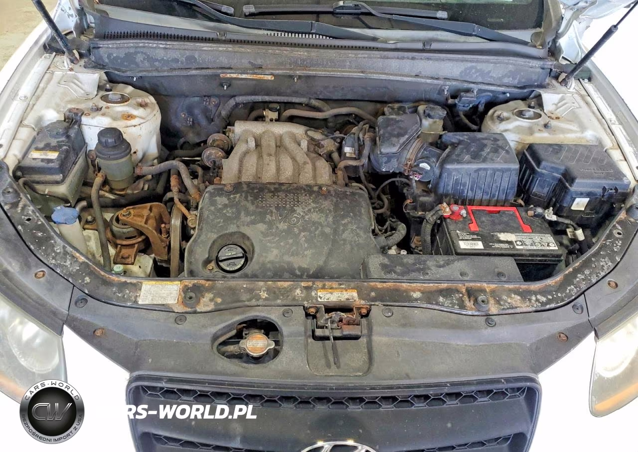 2009 Hyundai Santa Fe Gls VIN:5NMSG13D69H325354 - 11
