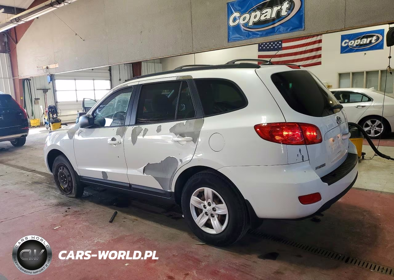 2009 Hyundai Santa Fe Gls VIN:5NMSG13D69H325354 - 2