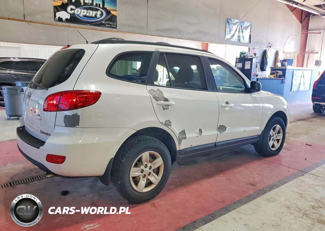 2009 Hyundai Santa Fe Gls VIN:5NMSG13D69H325354 - 3
