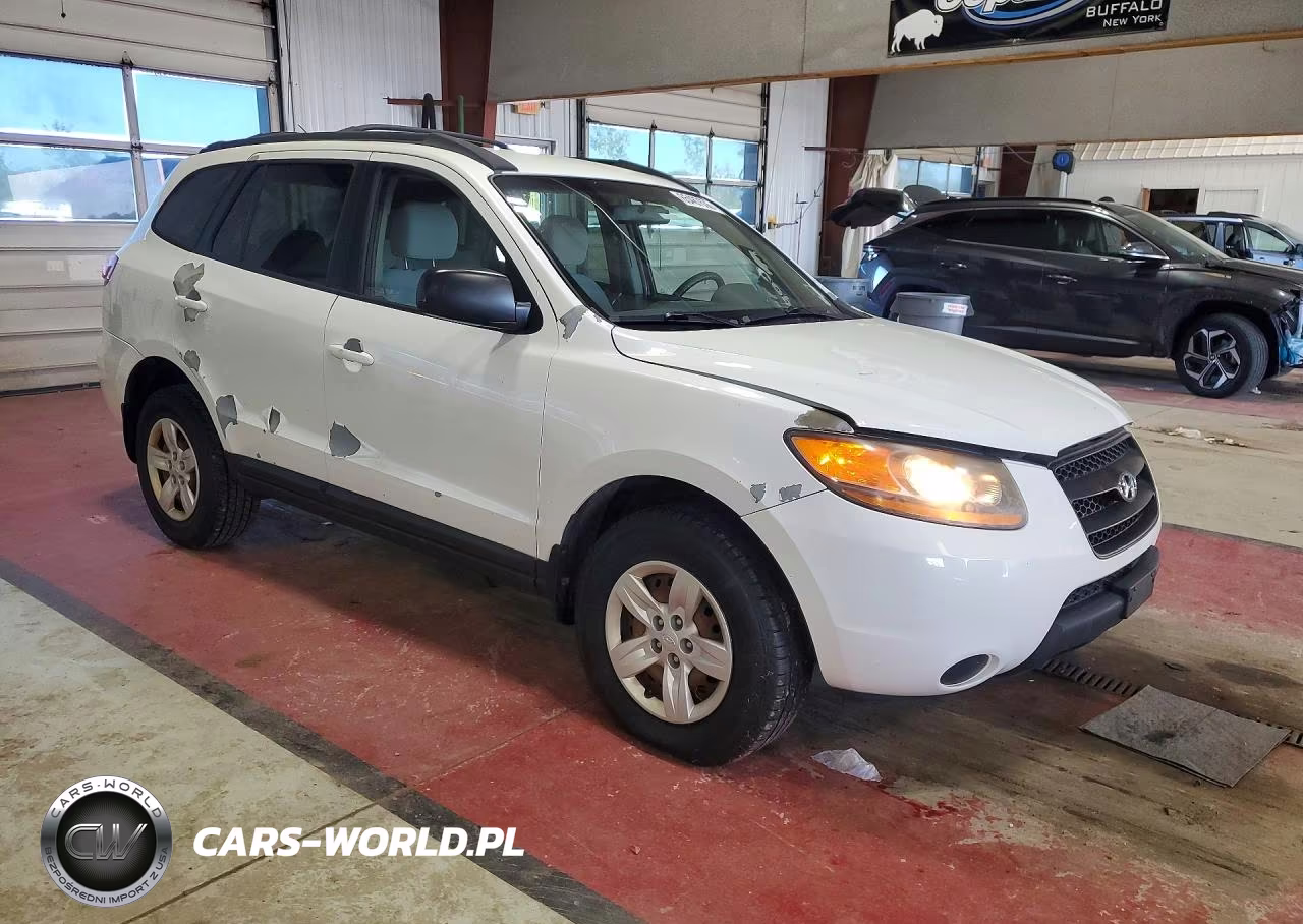 2009 Hyundai Santa Fe Gls VIN:5NMSG13D69H325354 - 4