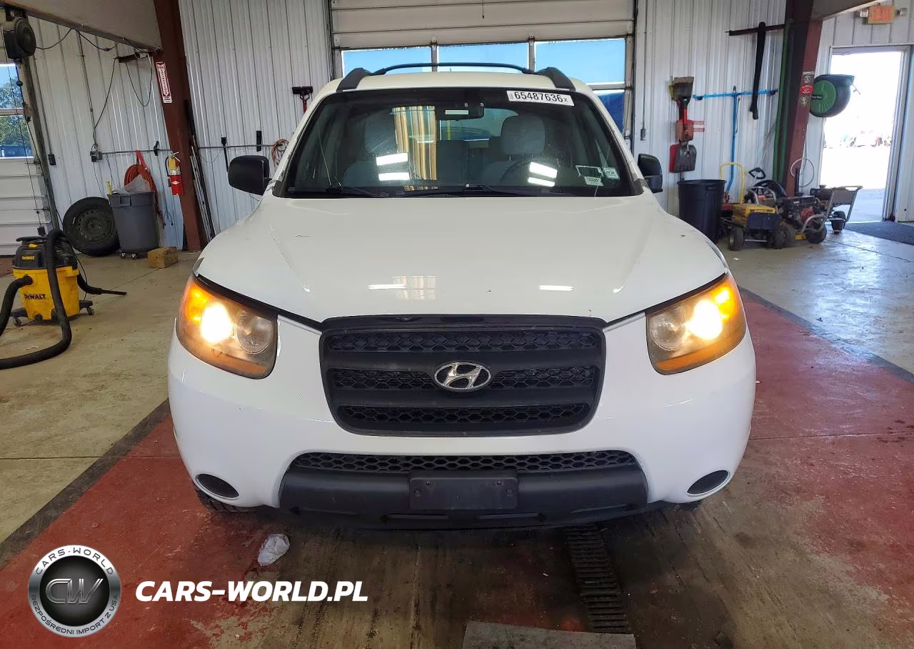 2009 Hyundai Santa Fe Gls VIN:5NMSG13D69H325354 - 5