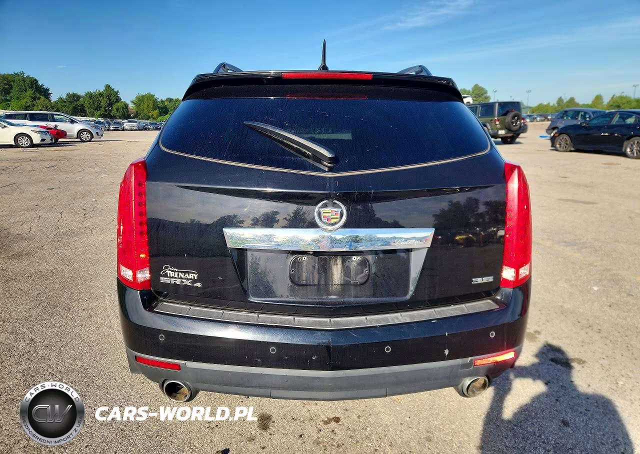 2013 Cadillac Srx Luxury Collection VIN:3GYFNGE33DS592039 - 6