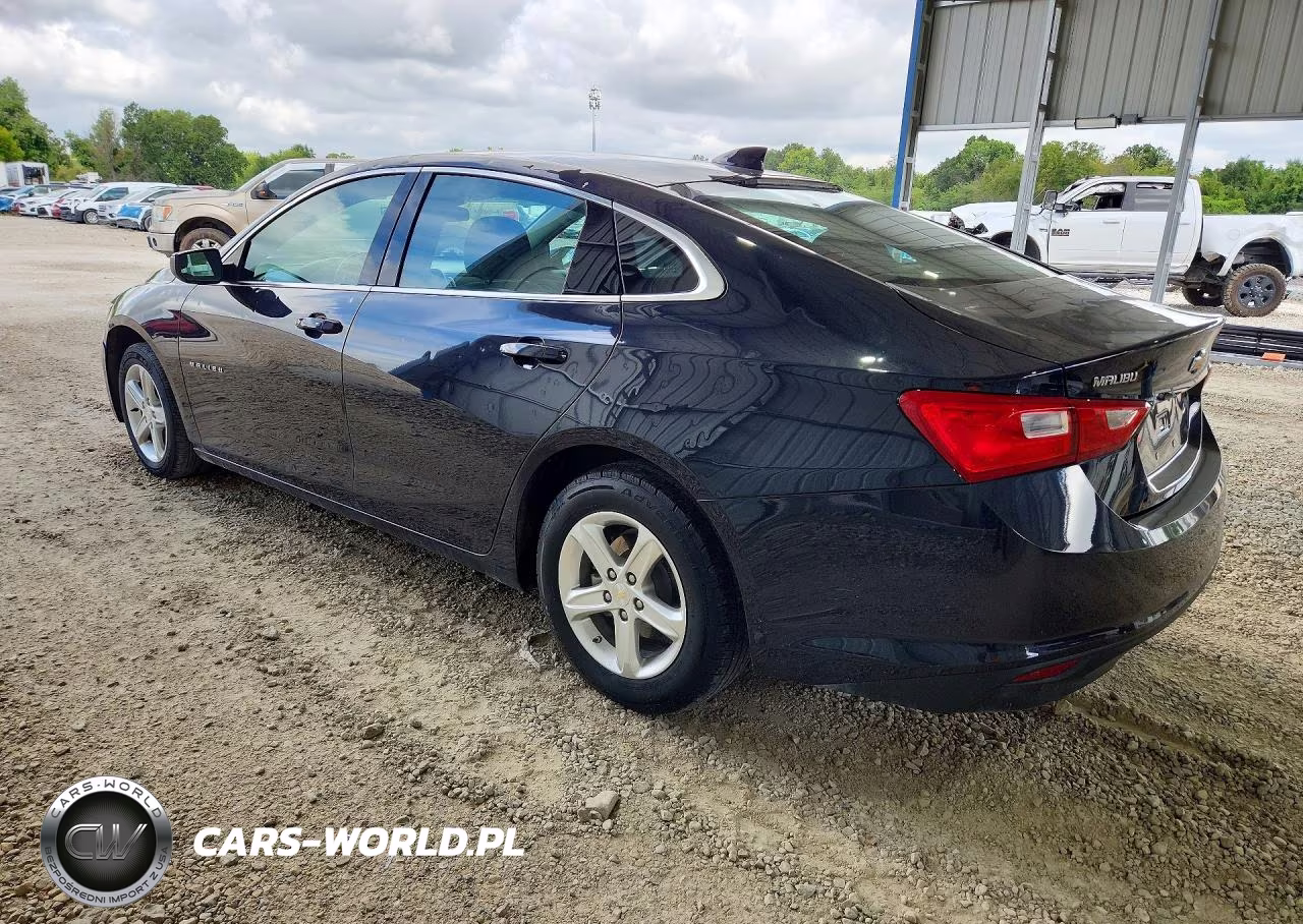 2023 Chevrolet Malibu Lt VIN:1G1ZD5ST4PF174704 - 2