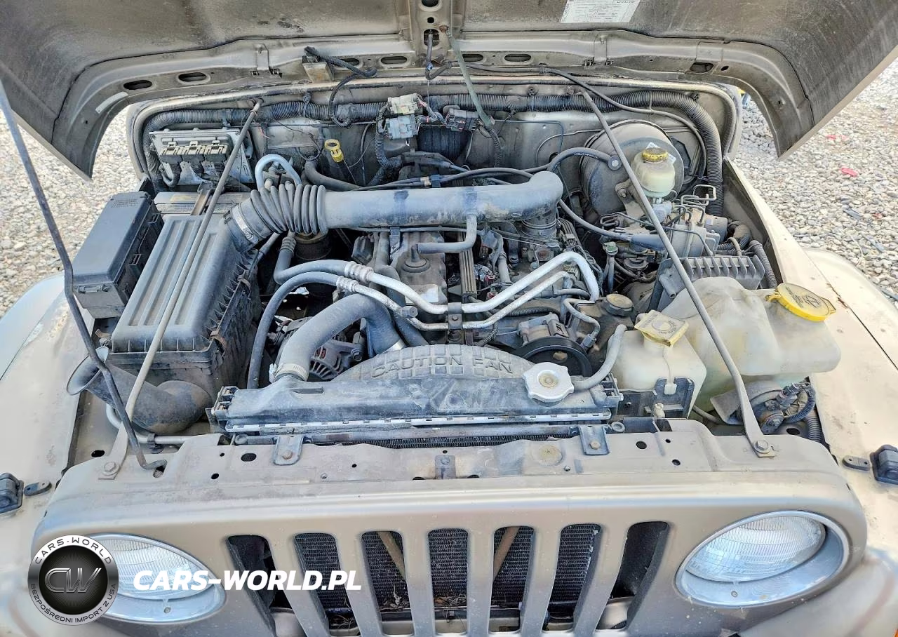 2004 Jeep Wrangler - Tj Sahara VIN:1J4FA59S54P738649 - 11