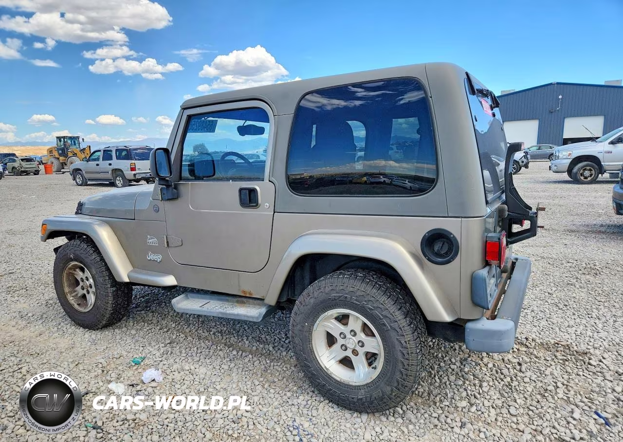 2004 Jeep Wrangler - Tj Sahara VIN:1J4FA59S54P738649 - 2