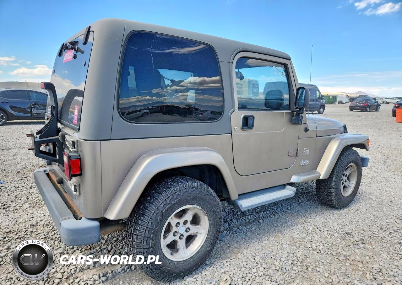 2004 Jeep Wrangler - Tj Sahara VIN:1J4FA59S54P738649 - 3