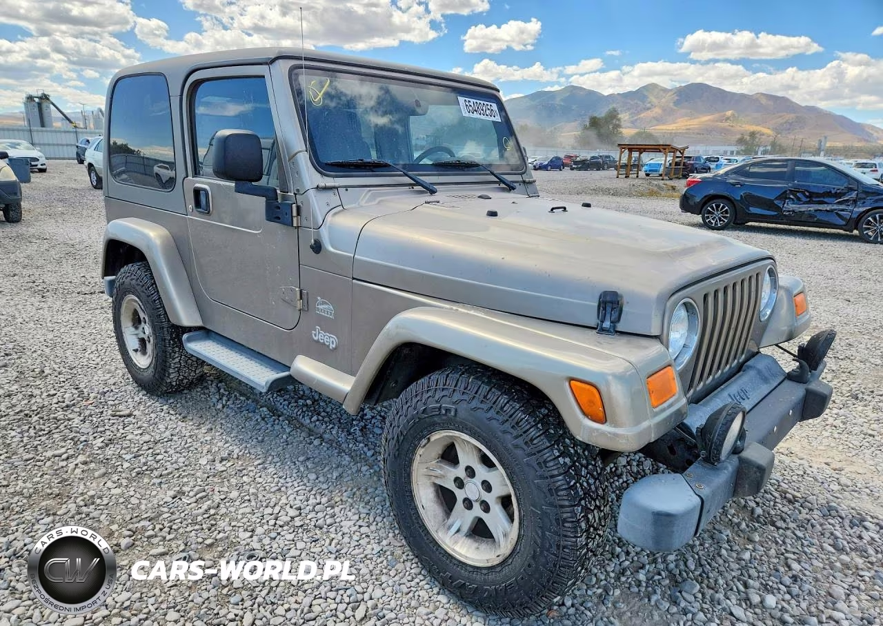 2004 Jeep Wrangler - Tj Sahara VIN:1J4FA59S54P738649 - 4