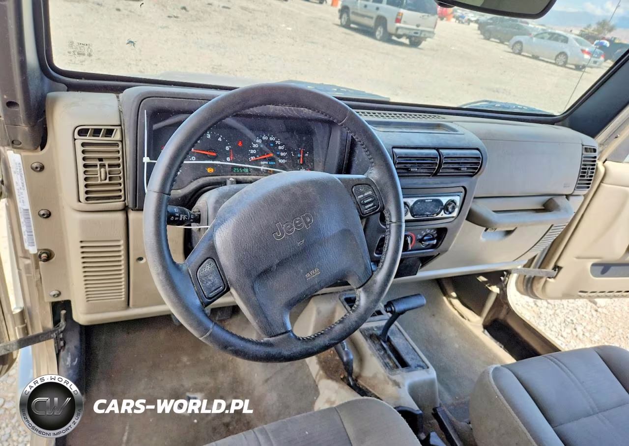 2004 Jeep Wrangler - Tj Sahara VIN:1J4FA59S54P738649 - 8