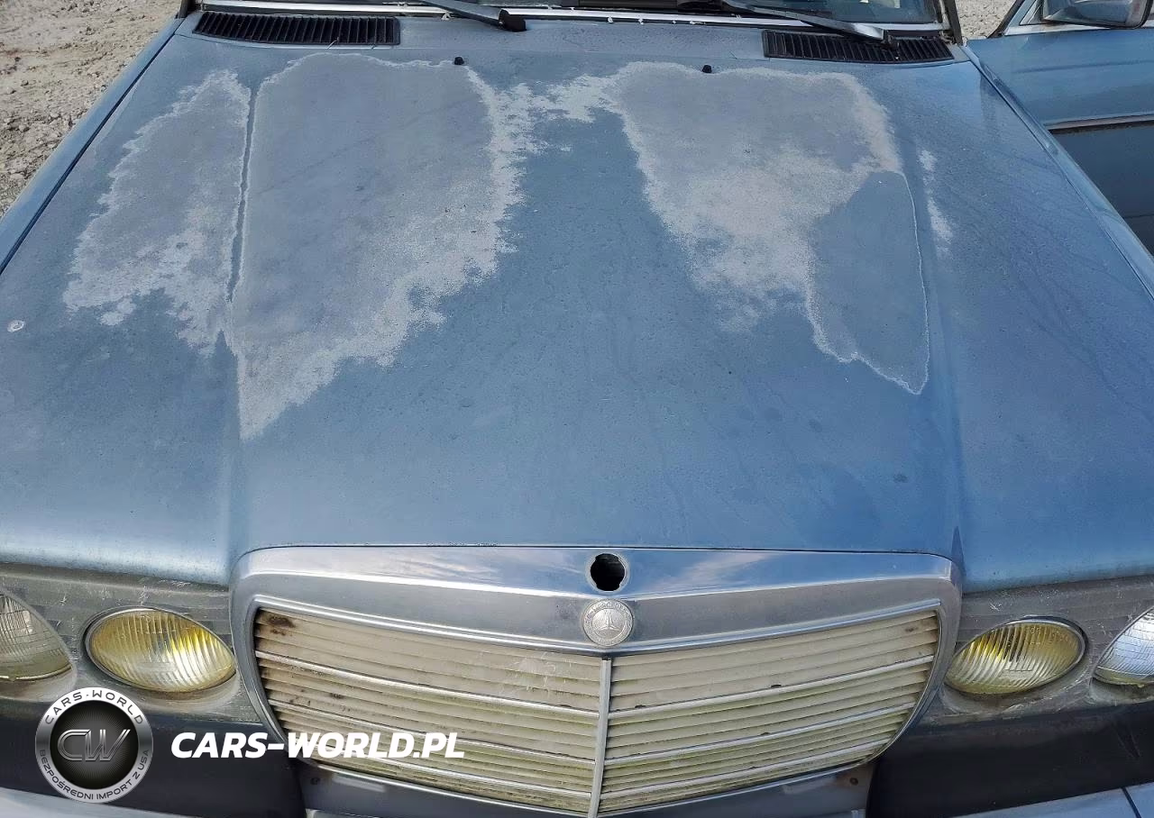 1985 Mercedes-Benz 300 Dt VIN:WDBAB33C8FA272934 - 11