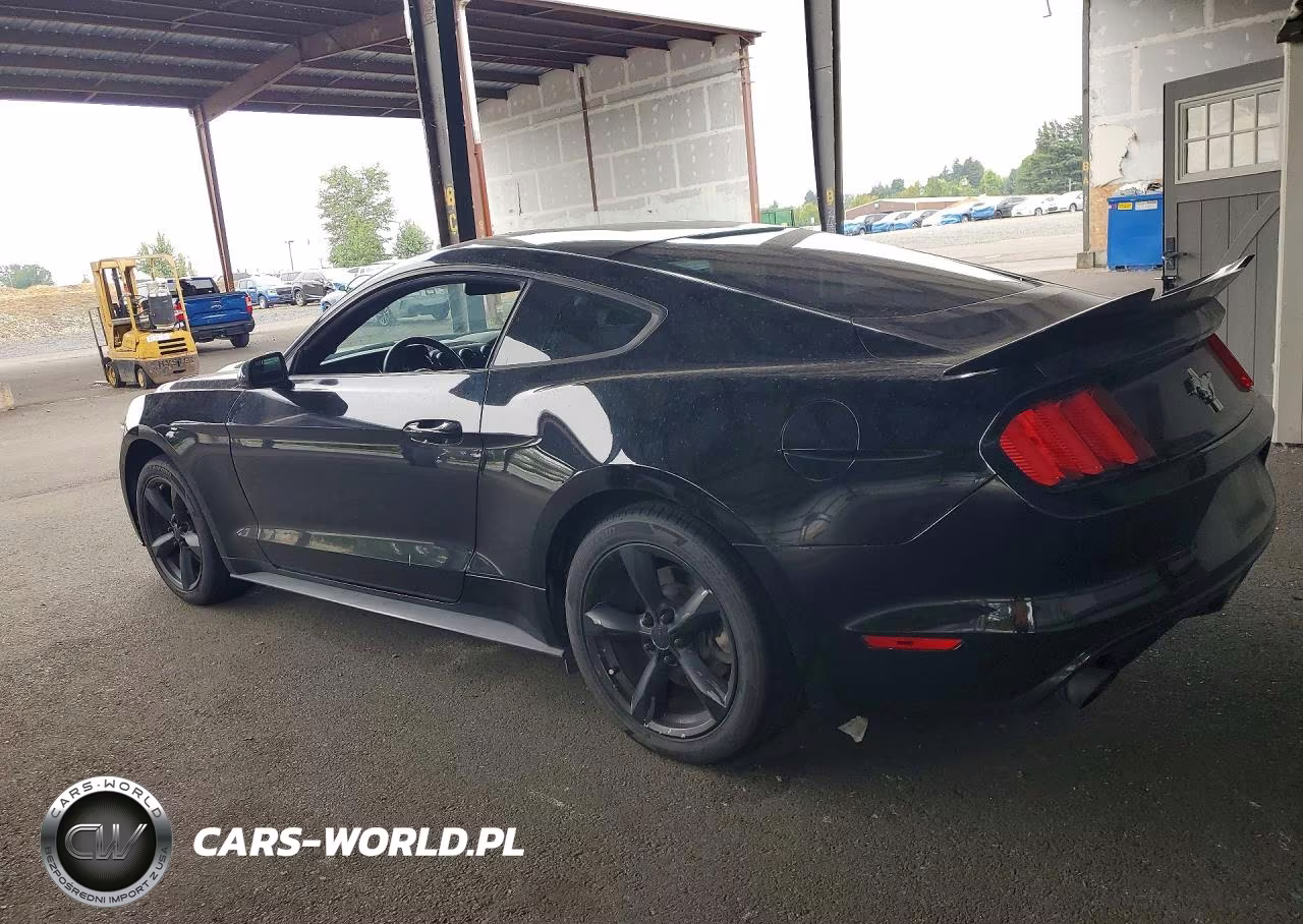 2015 Ford Mustang Base VIN:1FA6P8AM9F5334230 - 2