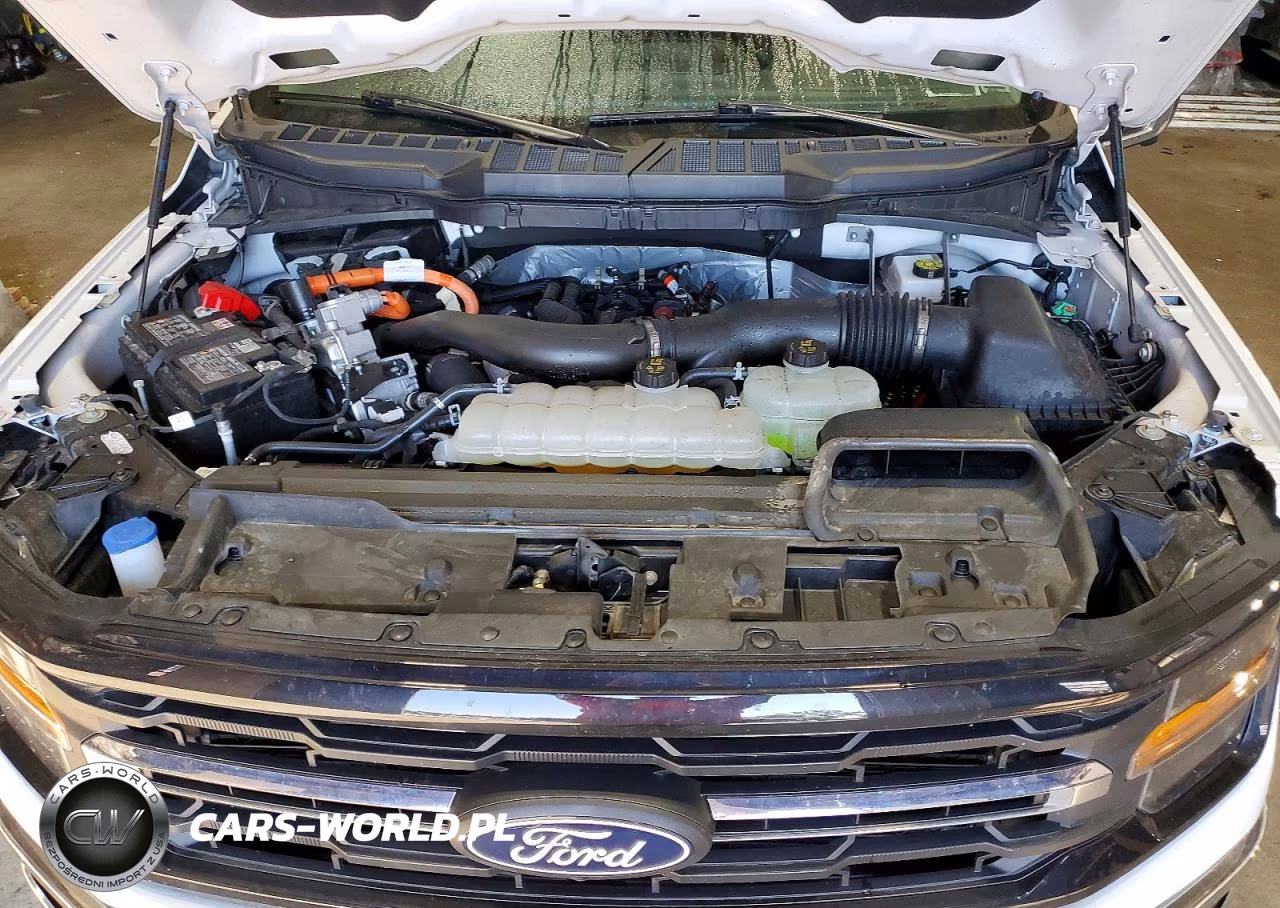 2025 Ford F150 Xlt VIN:1FTFW3LD3SFC57324 - 11