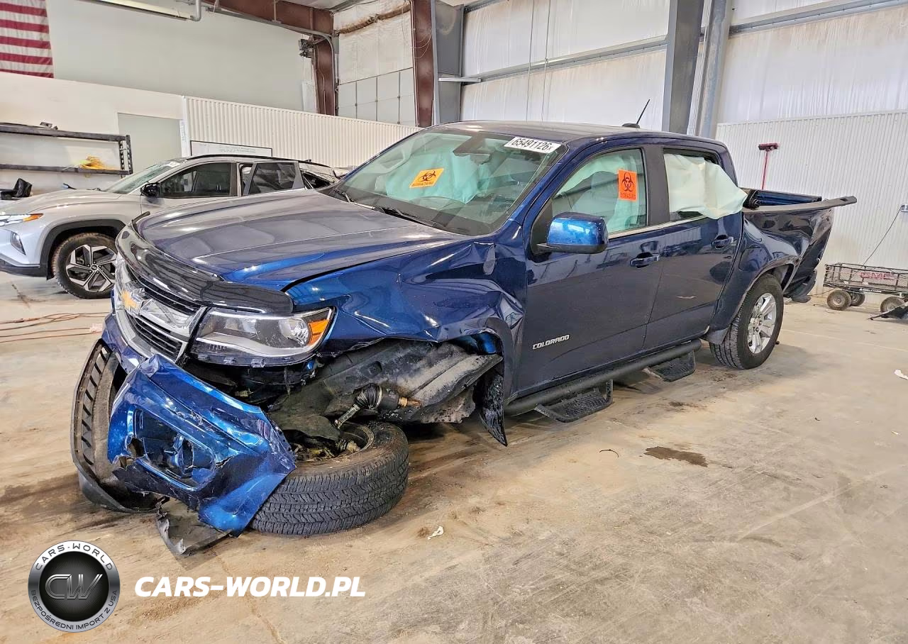 2019 Chevrolet Colorado Lt VIN:1GCGTCEN2K1298687 - 1