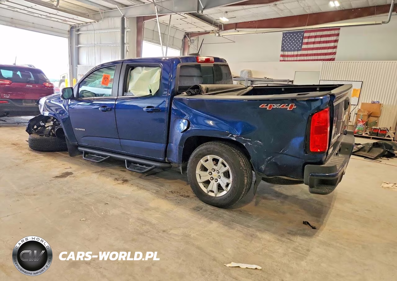 2019 Chevrolet Colorado Lt VIN:1GCGTCEN2K1298687 - 2