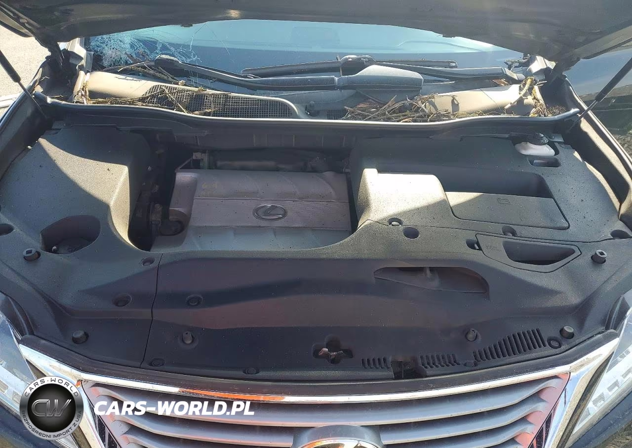 2013 Lexus Rx 350 Base VIN:2T2BK1BA2DC198568 - 12
