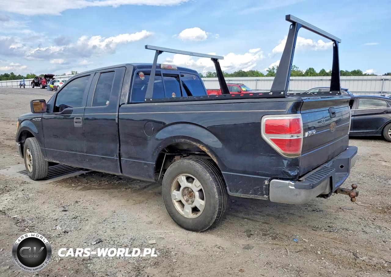 2009 Ford F150 Super Cab VIN:1FTRX12809FB00900 - 2