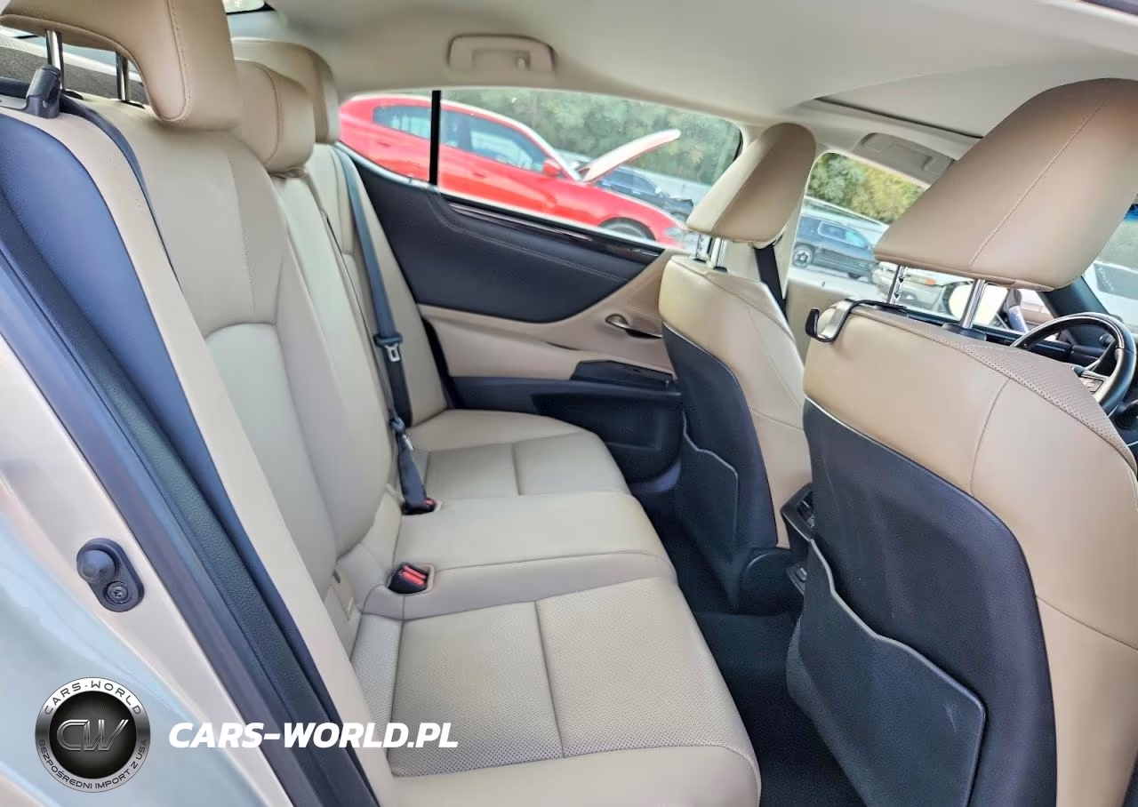 2020 Lexus Es 350 VIN:58ADZ1B19LU079835 - 10