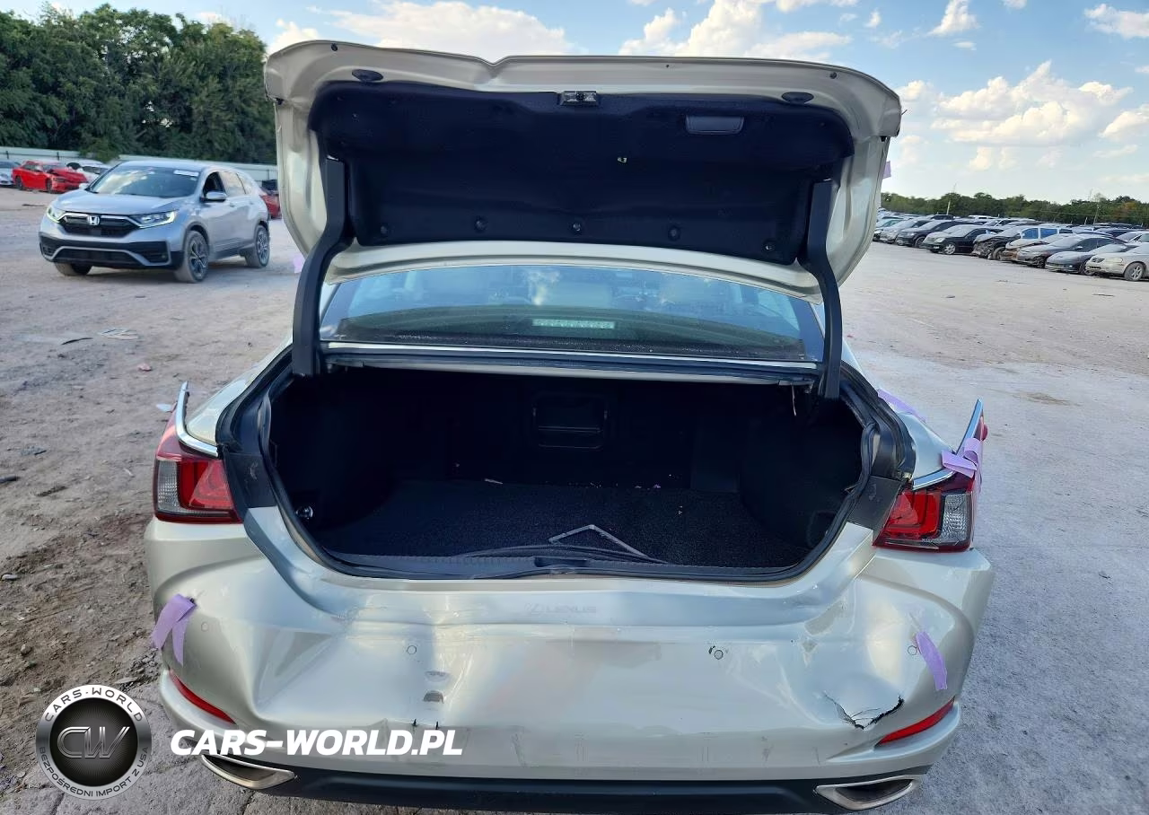 2020 Lexus Es 350 VIN:58ADZ1B19LU079835 - 6