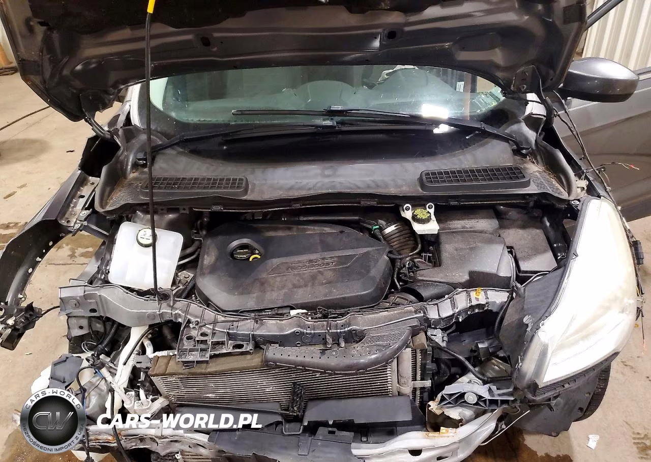 2014 Ford Escape Se VIN:1FMCU0GX9EUE19657 - 12