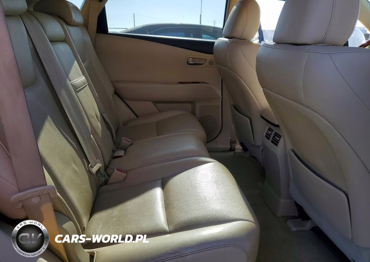 2010 Lexus Rx 350 VIN:JTJZK1BA5A2403827 - 10
