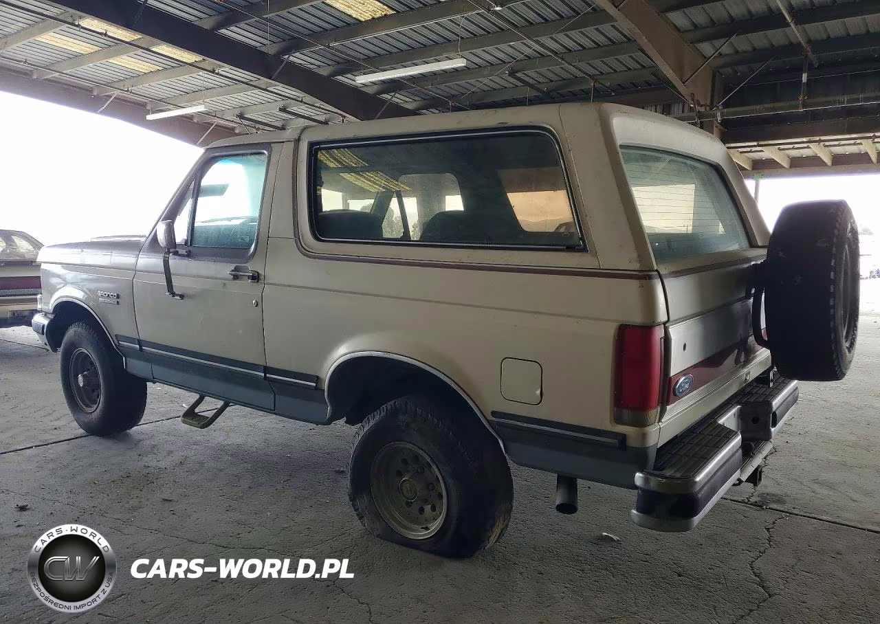 1990 Ford Bronco U100 VIN:1FMEU15N1LLB33997 - 2