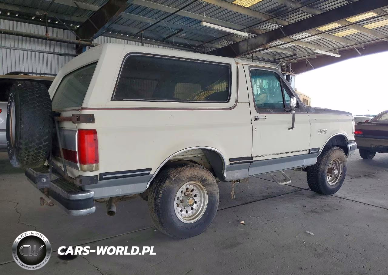 1990 Ford Bronco U100 VIN:1FMEU15N1LLB33997 - 3