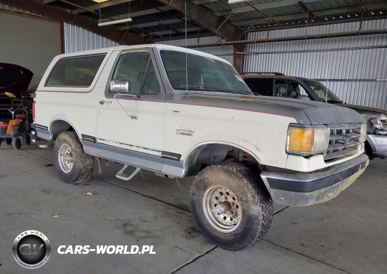 1990 Ford Bronco U100 VIN:1FMEU15N1LLB33997 - 4