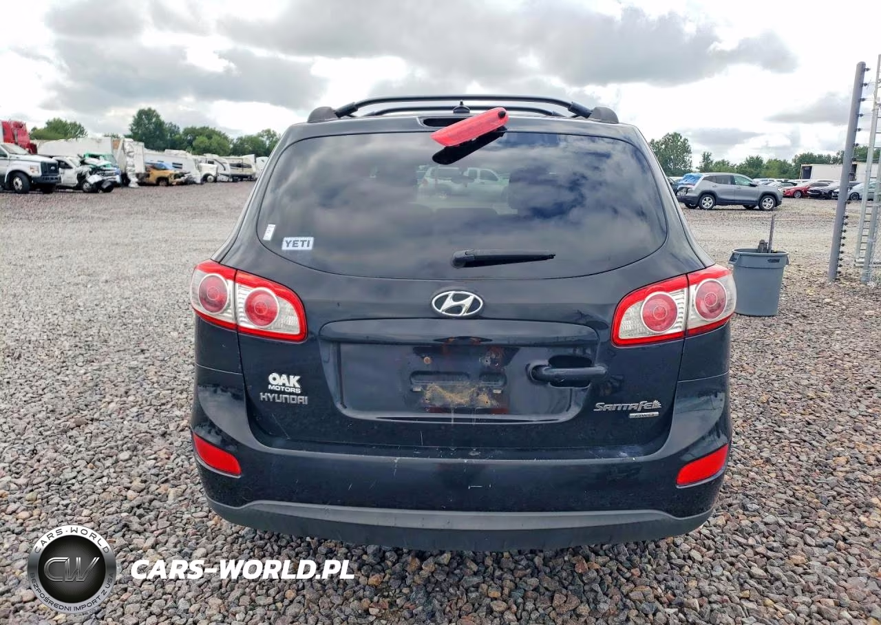 2010 Hyundai Santa Fe Gls VIN:5NMSGDAB2AH346130 - 6