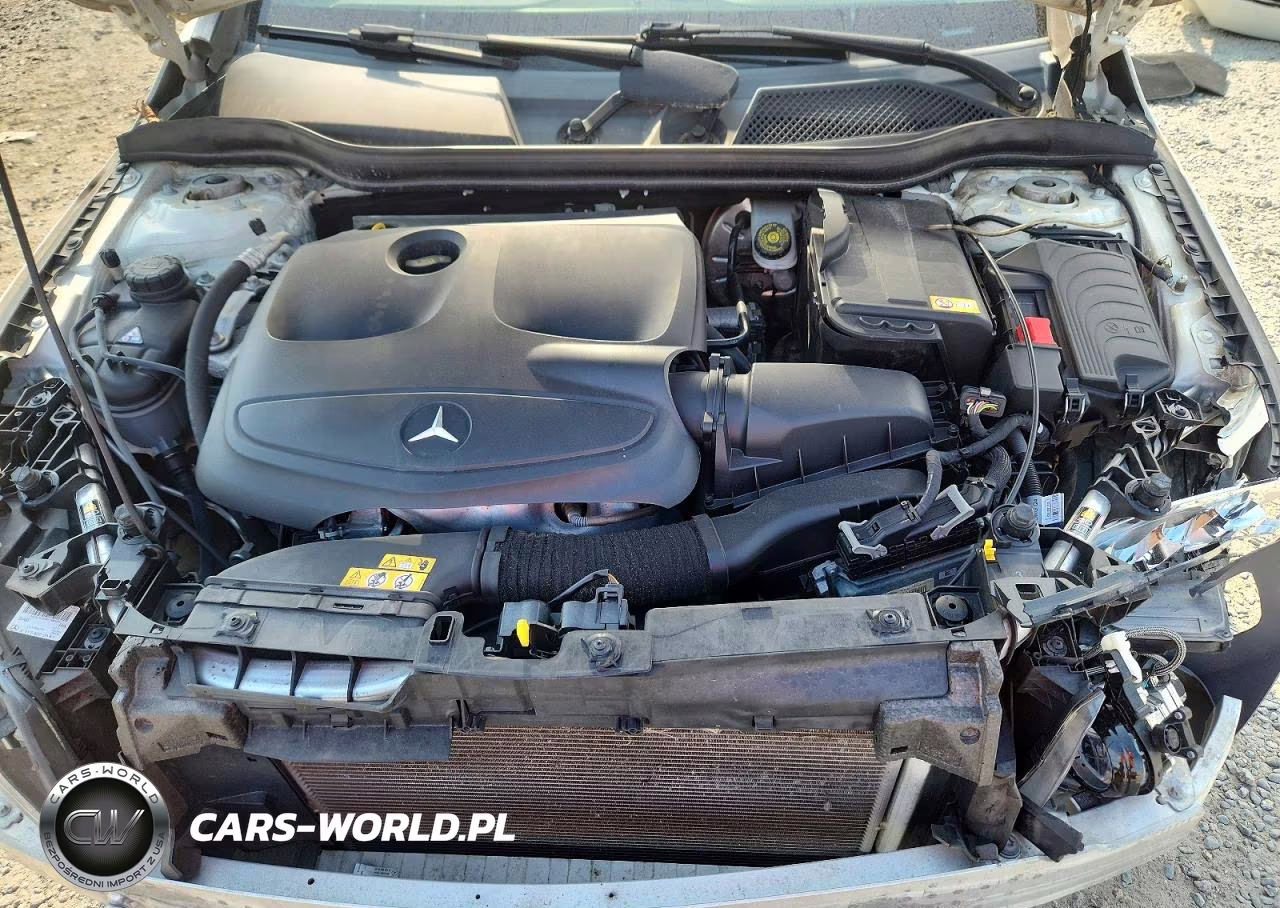 2014 Mercedes-Benz Cla 250 VIN:WDDSJ4EB5EN030179 - 11