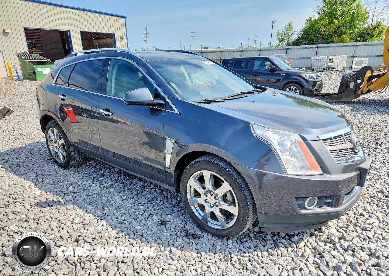 2010 Cadillac Srx Performance Collection VIN:3GYFNEEY9AS557758 - 4