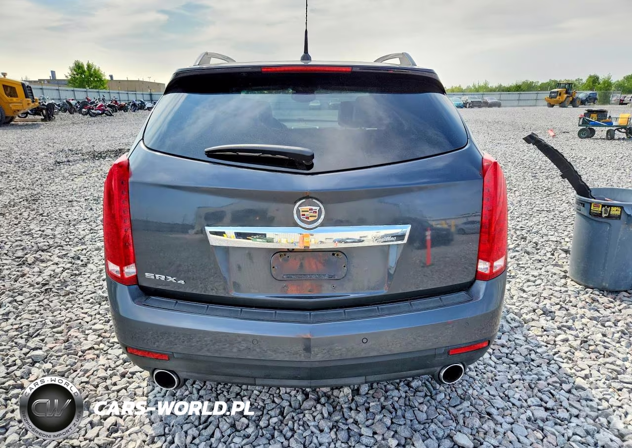 2010 Cadillac Srx Performance Collection VIN:3GYFNEEY9AS557758 - 6