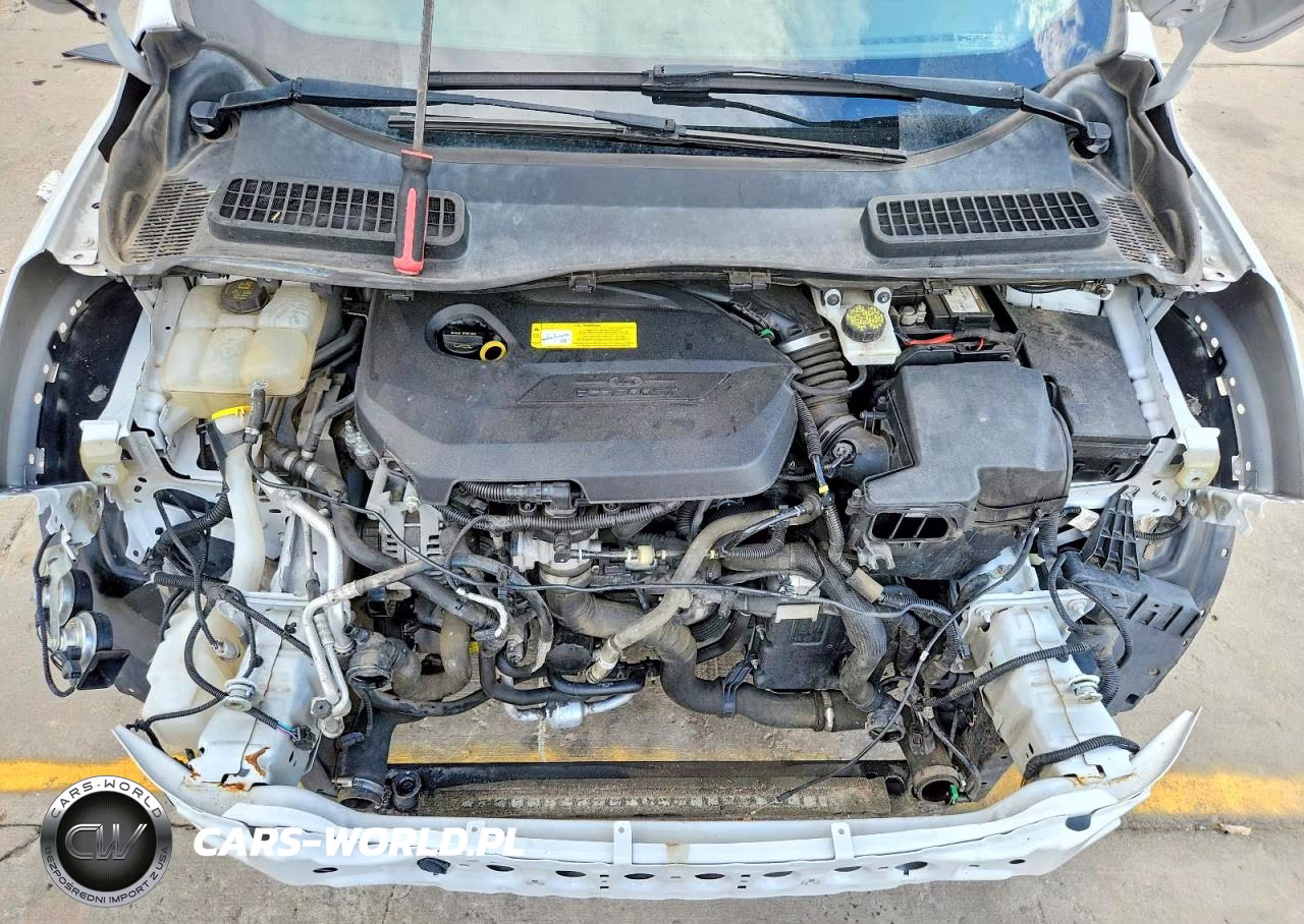2016 Ford Escape Se VIN:1FMCU9GX9GUC30451 - 12