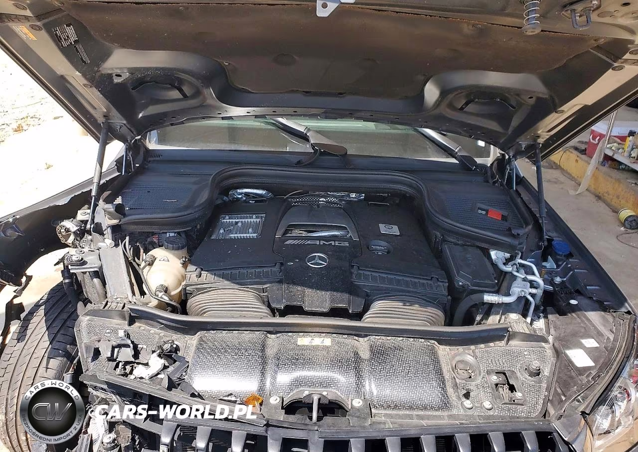 2024 Mercedes-Benz Gls VIN:4JGFF8KE5RB167502 - 11
