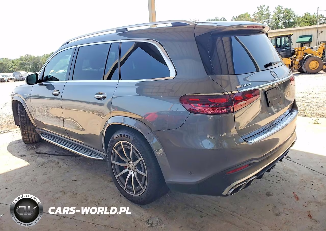 2024 Mercedes-Benz Gls VIN:4JGFF8KE5RB167502 - 2