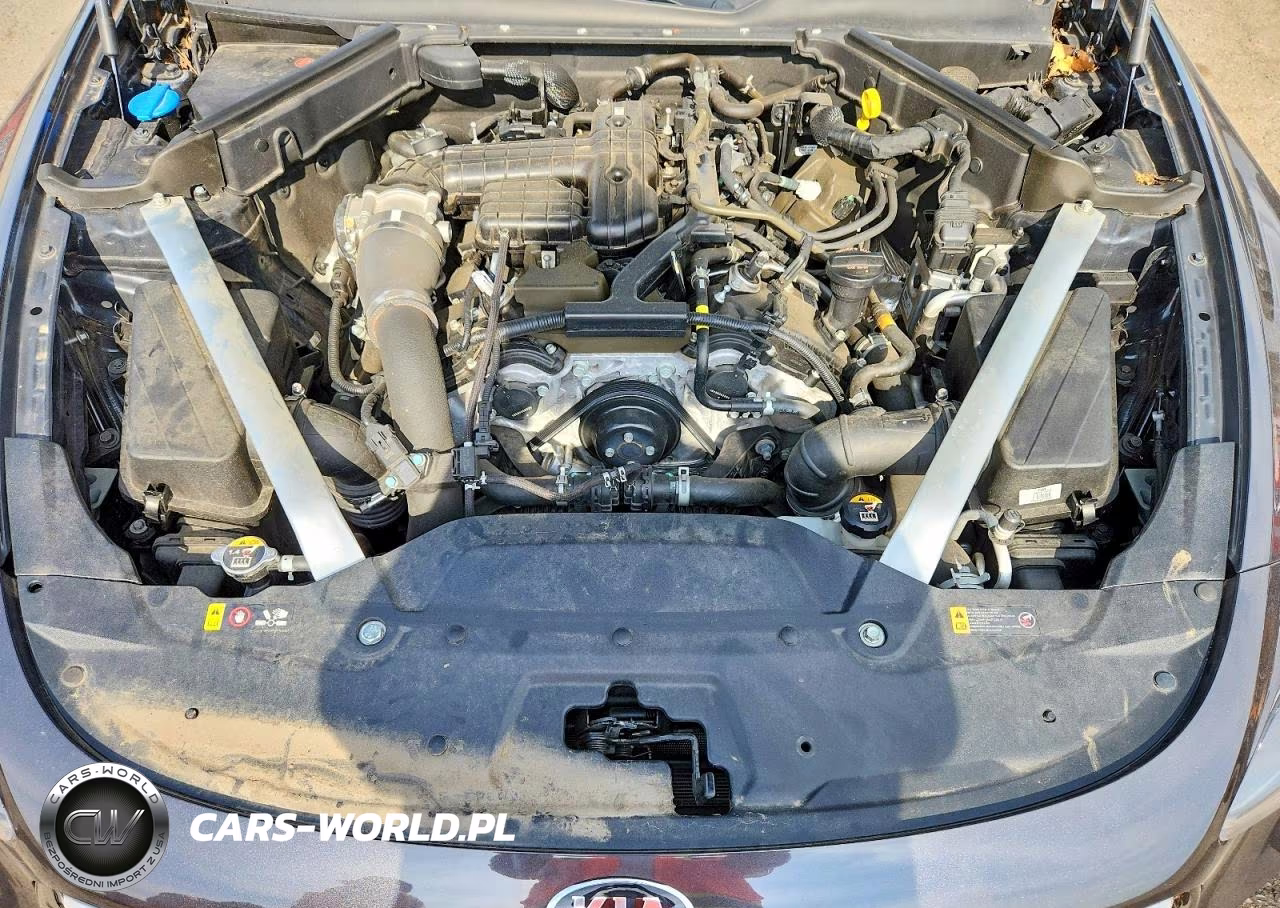 2019 Kia Stinger Gt1 VIN:KNAE45LCXK6066338 - 11