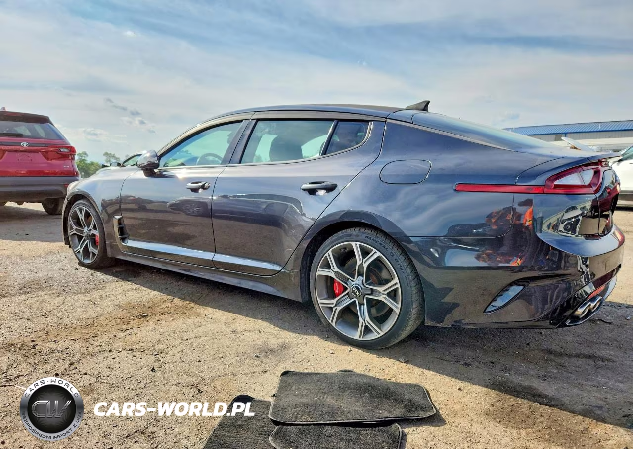 2019 Kia Stinger Gt1 VIN:KNAE45LCXK6066338 - 2