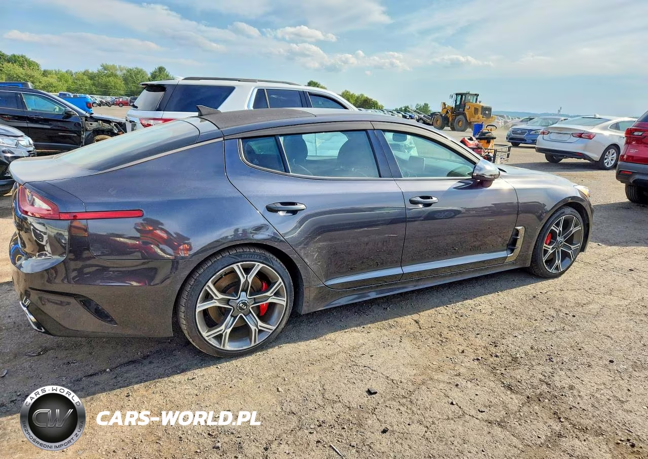 2019 Kia Stinger Gt1 VIN:KNAE45LCXK6066338 - 3