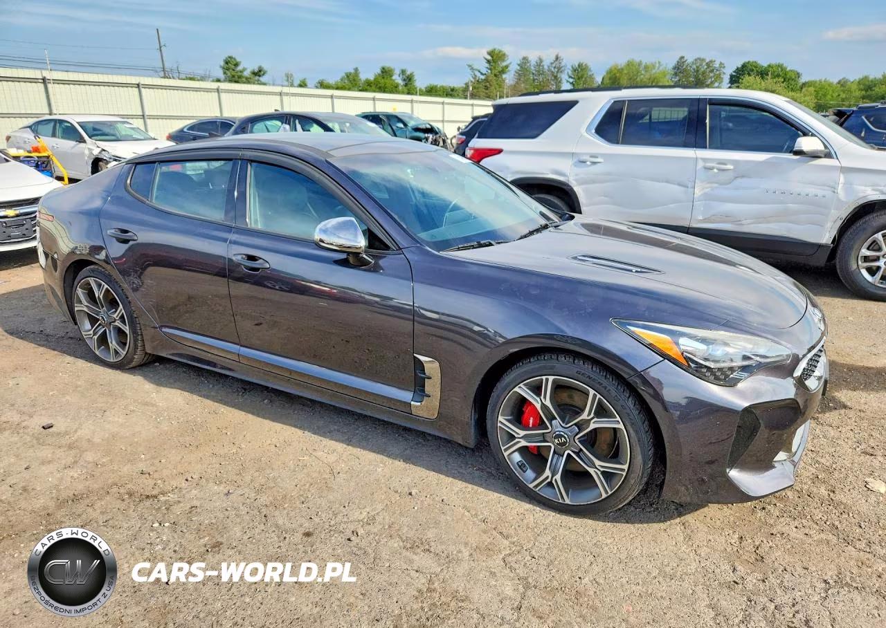 2019 Kia Stinger Gt1 VIN:KNAE45LCXK6066338 - 4