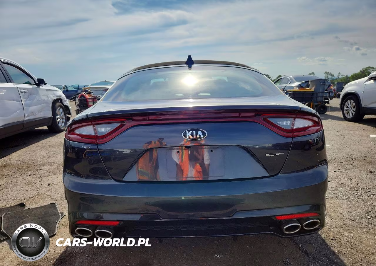 2019 Kia Stinger Gt1 VIN:KNAE45LCXK6066338 - 6