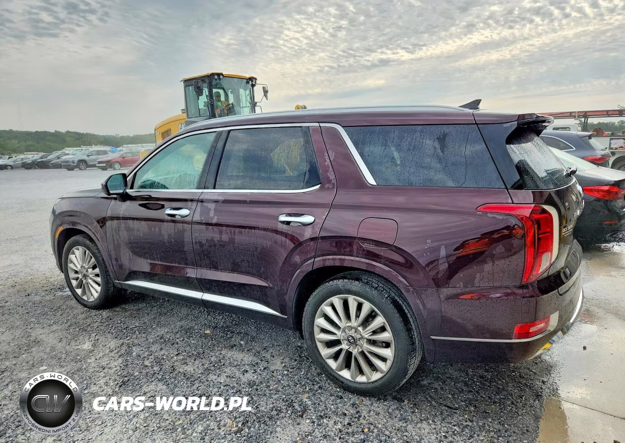 2020 Hyundai Palisade Limited VIN:KM8R54HE6LU074547 - 2
