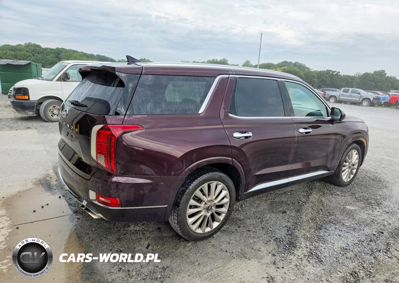 2020 Hyundai Palisade Limited VIN:KM8R54HE6LU074547 - 3