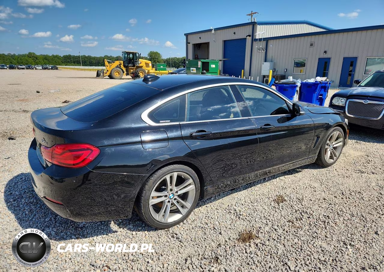 2019 BMW 430I Gran Coupe VIN:WBA4J1C59KBM13132 - 3