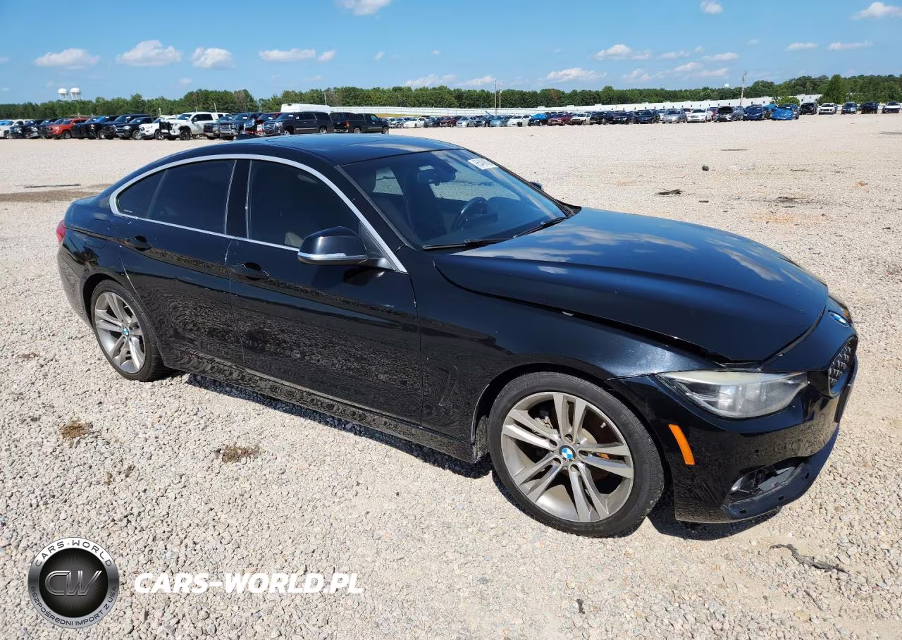 2019 BMW 430I Gran Coupe VIN:WBA4J1C59KBM13132 - 4