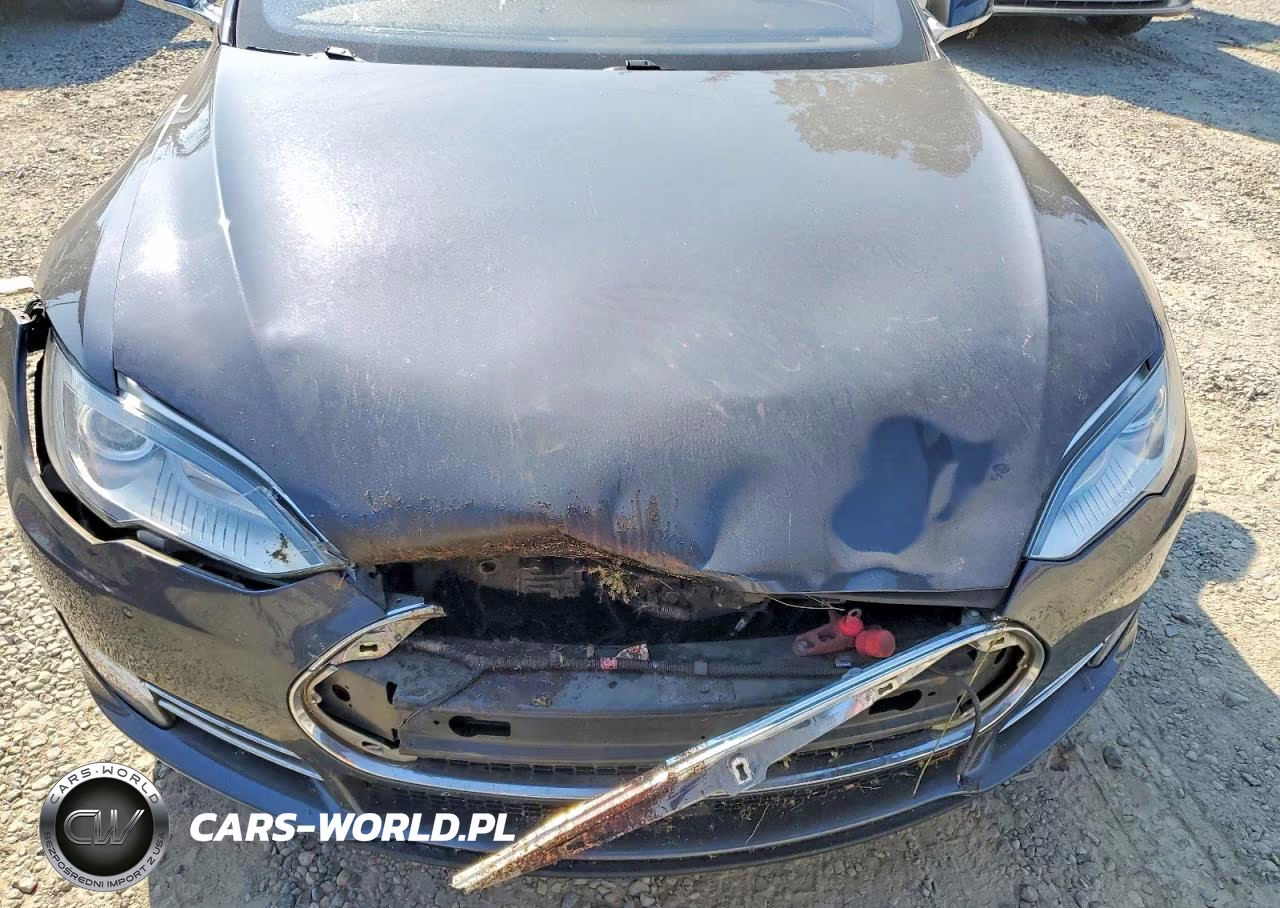 2015 Tesla Model S P85D VIN:5YJSA4H44FF081289 - 11
